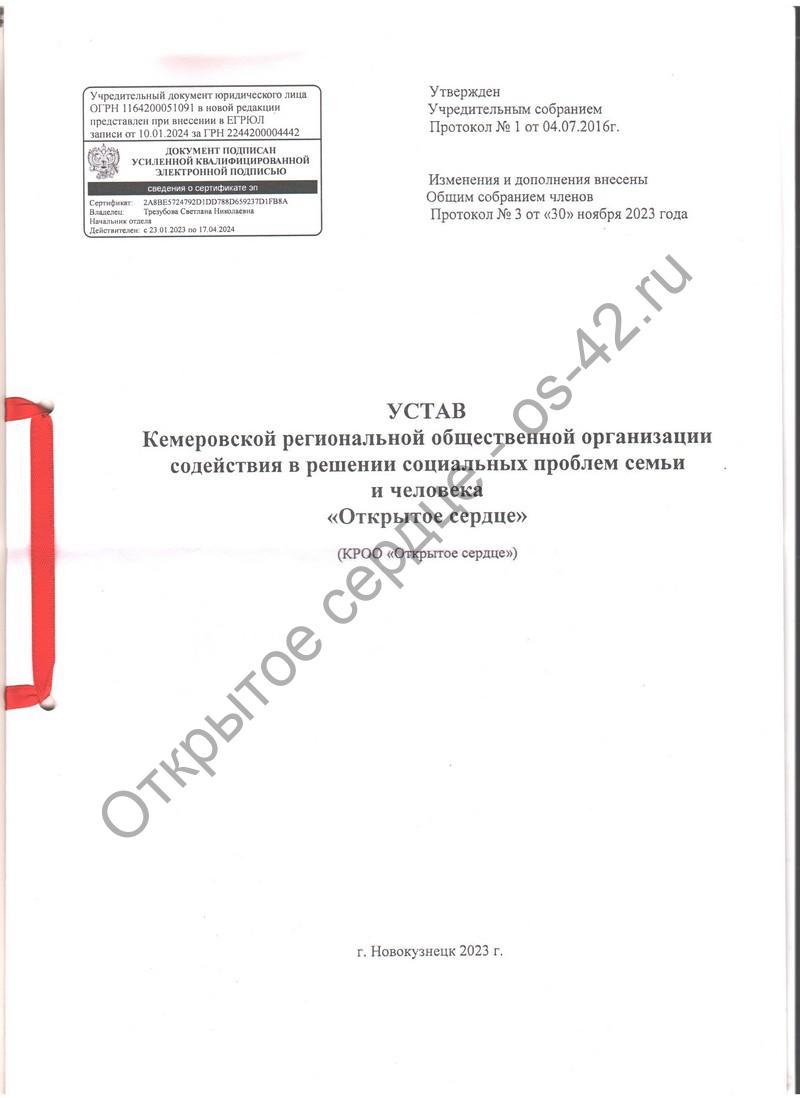 Устав — Кемеровская Региональная Общественная Организация Содействия в  Решении Социальных Проблем Семьи и Человека 